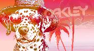 2024-02_oakley-c2.jpg